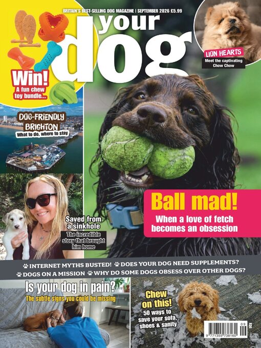 Cover image for Your Dog